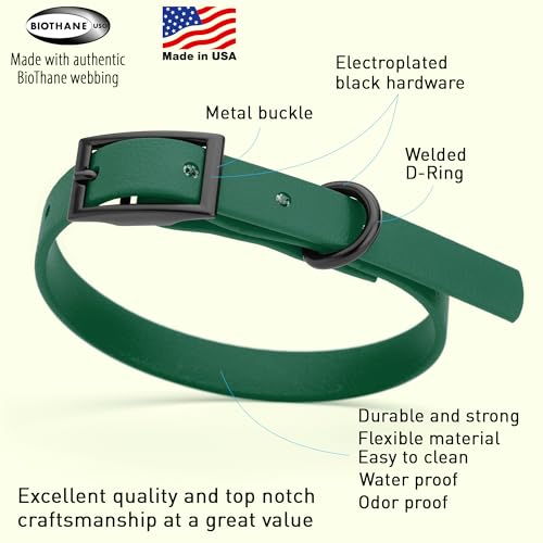 Image of Dogline Biothane Waterproof Dog Collar Strong Coated Nylon Webbing with Black Hardware Odor- Proof for Easy Care Easy to Clean High Performance Fits Small Medium or Large Dogs, Hunter Green