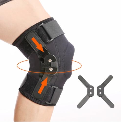 GT|[^[ Gpbh  veN^[  qWt sT|[g G֐ ⏕ GŒp ݌v ߉\ ʋC 傫TCY җp jp jp Ep (XL)