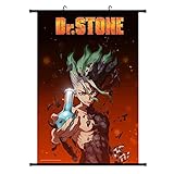 Material: Stoff Leinwand redCherry Anime Manga Dr. Stone Poster Wand Rolle Hängende Gemälde Kunst Malerei Wand Rolle Poster(40x60cm)