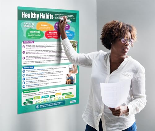 Daydream Education Healthy Habits Mental Health Poster - EXTRA LARGE - 33" X 23.5" - Gloss Paper - Mental Health and Wellbeing Middle & High School Classroom Decor - Wall Charts