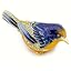 Blue-Yellow