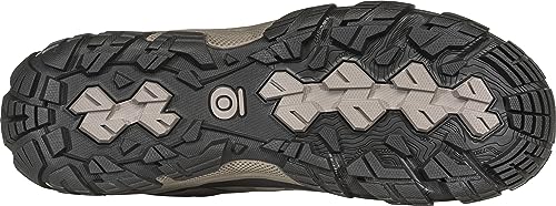 Image of Oboz Men's Sawtooth X Low Hiking Shoe