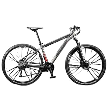 YQCXG Hybrid-Fahrrad, 29-Zoll-Stoßdämpfer, Mountainbike, Aluminiumlegierung, Fahrrad für Damen und Herren, 33 Gänge, Rennrad mit Variabler Geschwindigkeit (29 Zoll, 24 Gänge)