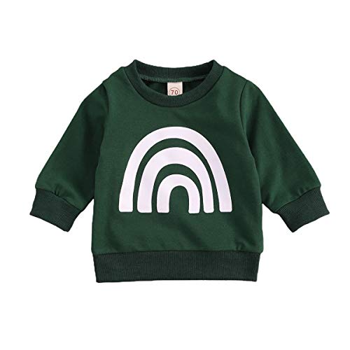 Toddler Baby Girl Long Sleeve Daisy Print Pullover Sweatshirt Fall Crewneck Sweater T-Shirt Tops Christmas Clothes (F-Green, 6-12 Months)