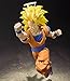 Tamashi Nations - Dragon Ball Z - Super Saiyan 3 Son Goku, Bandai S.H.Figuarts