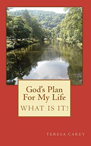 God's Plan For My Life - What Is It?