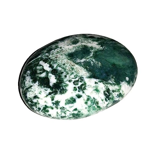 Galets Agate Arbre 500g à offrir pour amateurs de pierres de soin