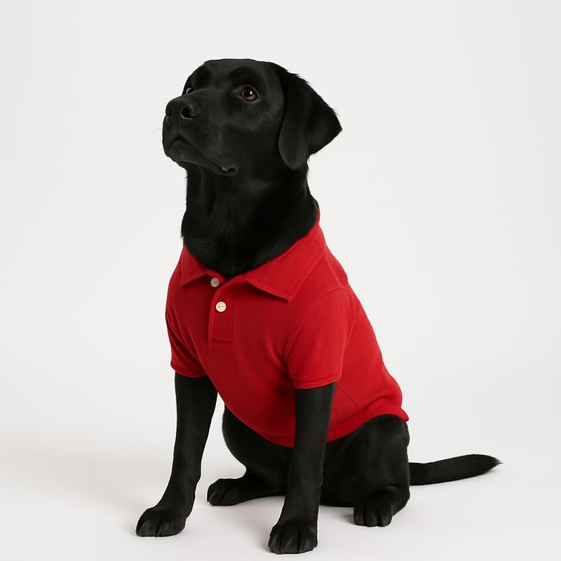 Image of Thunder Tails Premium Cotton Polo Dog T-Shirt | for Large Dogs | Red | 4XL | for Lean Labrador, Golden Retriever, German Shepherd, Rottweiler, Husky & Chow Chow