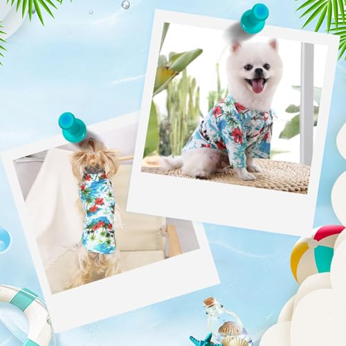 Chemise Hawaïenne pour Chien,Chemises pour Petit Chien Chat,Polo pour Animaux de Compagnie,Chemises pour Chiens D'été T-Shirt,Chemise pour Dog pour Loisirs,Plage,Camping,Vacances (Lago Azul M) – Image 6
