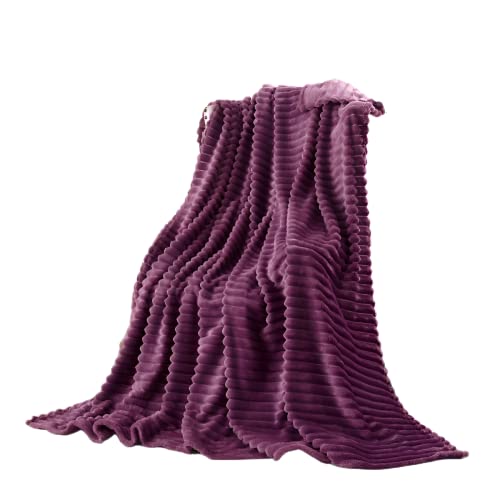 Tshuab Brushed Fleece Blanket, Perfect Sofa& Bed Throws, Super Soft& Cozy Hand feel, Perfect to Warm Up for All Family Members (Include Kids& Pets) While Watching TV (Color Purple, 150CM X 200CM)