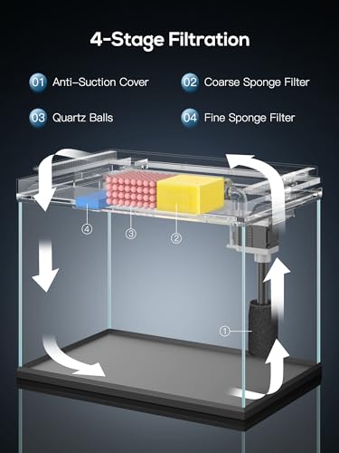 Pondon 5 Gallon Fish Tank, Low Iron Glass Aquarium Starter Kits With Temperature Digital Display thumb #1