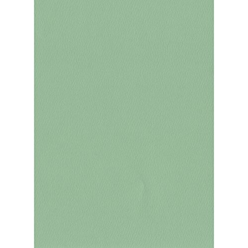 エスケント 色画用紙 スターウェーブ 八切 クローバー 100枚 5008811