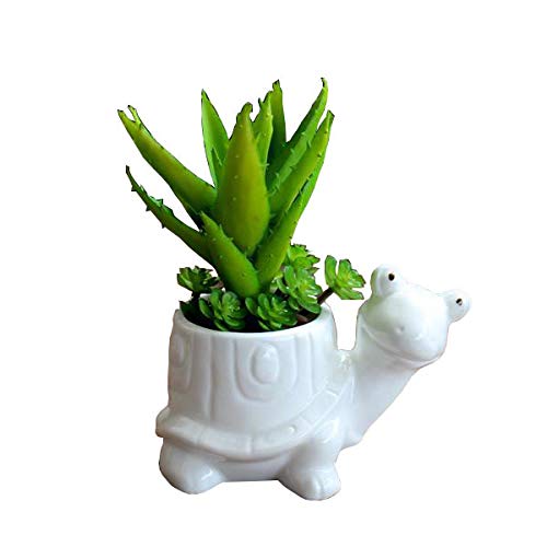 Ceramic Vases Animal Decor For You