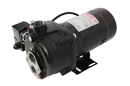 WAYNE CWS50-1/2 HP Cast Iron Convertible Jet Well Pump - Up to 408 Gallons Per Hour - Heavy Duty Jet Well Pump by Wayne - Image 4