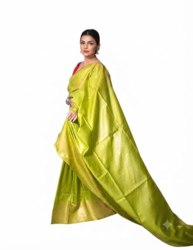 Silk Zone gold bhagalpuri silk saree in organza silk – image 4