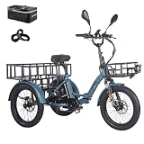 Fafrees F20 Mate Triciclo Eléctrico para Adultos 48V 21 Ah, 20 Pulgadas, homologado Bicicleta eléctrica Plegable 180kg, Plegable De 3 Ruedas 65N.m, Frenos de Disco hidráulicos, E Bike Hombre Mujer