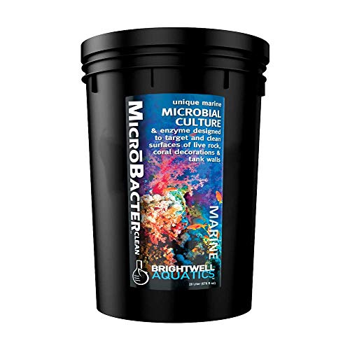 Brightwell Aquatics MicroBacter Clean - Microbial Culture & Enzyme Blend
