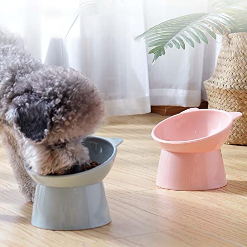 CLUB-BOLLYWOOD-Elevated-Raised-Cat-Bowl-Food-Bowl-Water-Feeder-Puppy-Non-Slip-for-Dog-Pink-Pet-Supplies-Dishes-Feeders-Fountains-Dog-Supplies-Dishes-Feeders-Fountains