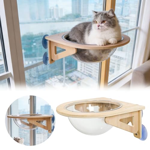 Estantes transparentes para gatos y perchas de pared con burbuja para decoración de casa 5