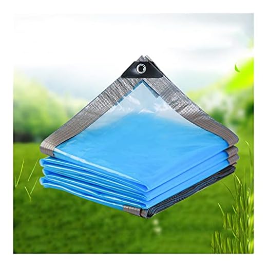 Genomskinligt Vattentätt Lock Genomskinlig Presenning UV Resistent Rivsäker Dammsäker Regntät Presenning för Altan Pergola Tak KUAIE (Color : Blue, Size : 6x12m)