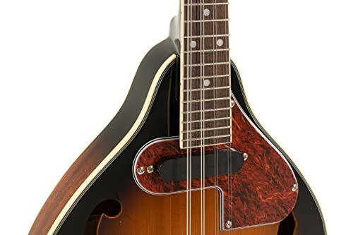 GEWA Mandoline A-1 Select Sunburst Fichte/Mahagoni mit Koffer A1 Mahagoni (Boden, Zarge)