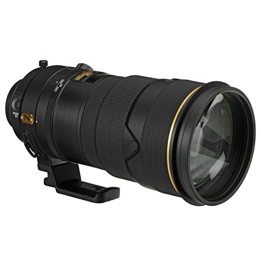 Nikon AF-S FX 300mm f/2.8G Lens