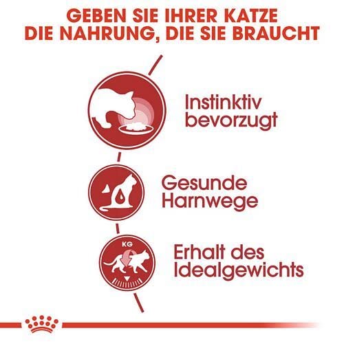 Royal Canin Instinctive Gravy | Doppelpack | 2 x 12 x 85 g | Nassfutter für ausgewachsene Katzen | Kleine Stückchen in Soße | Zur Unterstützung eines gesundes Lebensstils