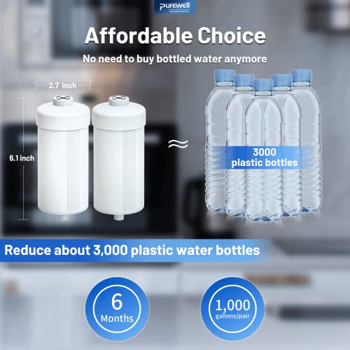 Image of Purewell FL-2 White 5-Stage Fluoride Purification Elements, Replacement for Berlkey PF-2 Fluoride Filters, Berlkey Gravity Filtration System and Purewell System (2 Pack, K Series)