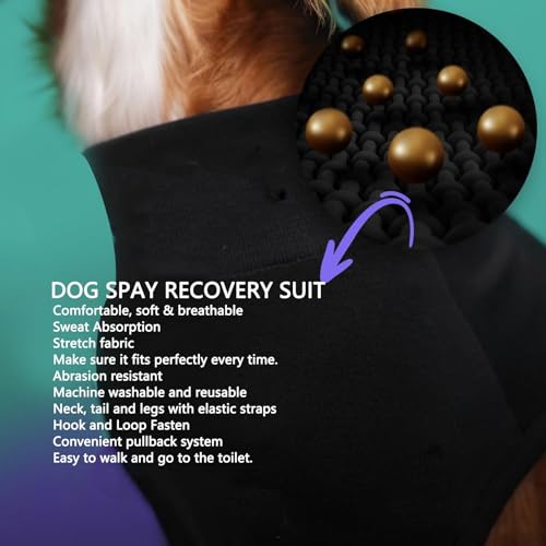 SENECESLI Recovery Suit for Dogs After Surgery Dog Surgery Recovery Suit, Female and Male, Soft Breathable Stretchy Fabric - Image 2