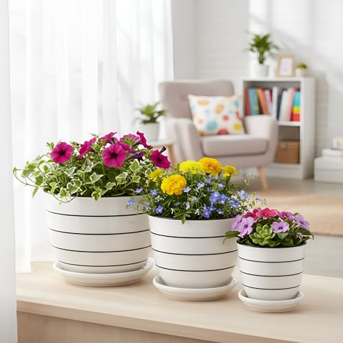 Image of Xtore Elegant Striped Ceramic Planter Set of 3 with Drainage Trays | Minimalist Indoor Plant Pots for Home, Office, Balcony & Tabletop Styling (Pack of 3 - Planter only)