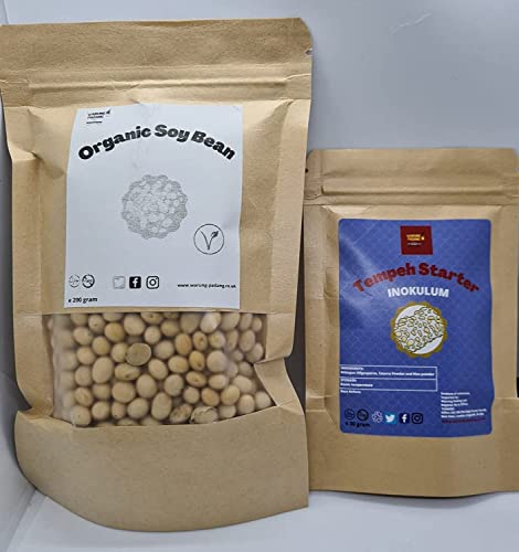 Easy TEMPEH Kits, Organic Tempeh Starter, Organic Soybean, Plastic & Manual (35g Starter, 200g Organic Soybean, 3 Plastics) - Thumbnail 2