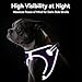 Joytale Hundegeschirr Kleine Hunde, Reflektierend Weich Gepolstert Geschirr, Air-Mesh Brustgeschirr Hund klein, S, Lila