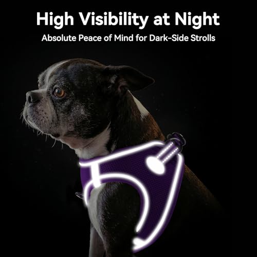 Joytale Hundegeschirr Kleine Hunde, Reflektierend Weich Gepolstert Geschirr, Air-Mesh Brustgeschirr Hund klein, S, Lila