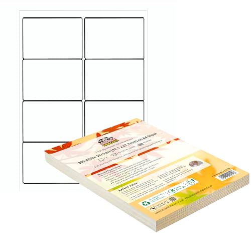 Double Dragon Étiquettes d'Adresse Autoadhésives A4, 8 par Feuille, 100 Feuilles, 99.1x 67.7mm, 800 Étiquettes (800 Étiquettes)