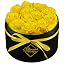 Yellow-bb