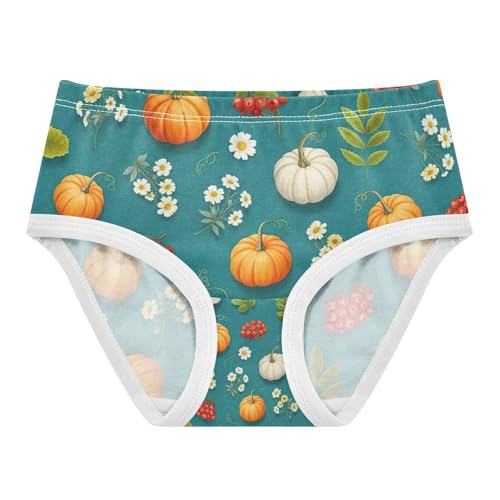 Orange White Pumpkins Toddler Underwear, Girls' Cotton Brief Underwear, 2T–8 Years