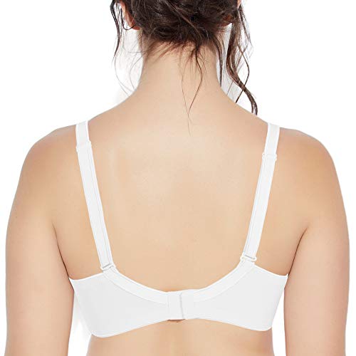 Image of Enamor Women Padded Non Wired Bra