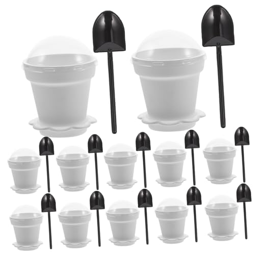 BIUDECO 40 Zbg~jfU[gJbv vX`bN[X ACXN[p{E WtőNێ P[LXibÑeCXeBO p