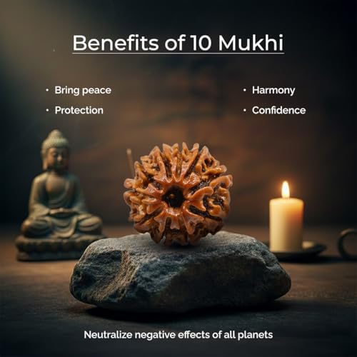 Image of Divine Hindu Original 10 Mukhi (Ten Face) Indonesia Rudraksha | Dus Mukhi Rudraksh Bead for Meditation, Protection & Spiritual Growth | Natural Rudraksha for Men & Women | Prayer Bead for Success