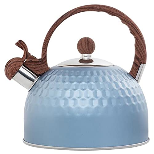 Bollitore Elettrico 2.5L Acciaio inossidabile ad alta capacità ad alta capacità Bollitore bollitore for tè for prendere il tè Bold Acqua Sutable for stufe a gas Cucina a induzione Bollitore Acqua (Co