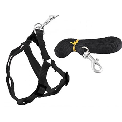 Arneses para Perros Pequeos