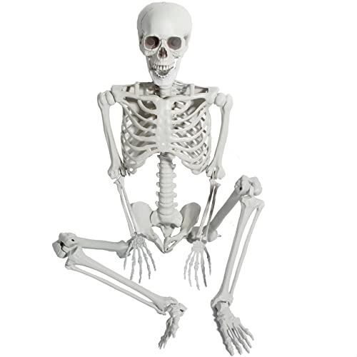 SUNREEK Halloween Full Body Skeleton - 5.4ft/165cm Plastic Human Skeleton Bones with Movable Joints for Halloween Decoration Spooky Scene Party Favors DÃ©cor