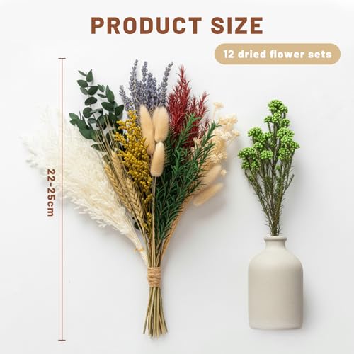 Celblisora 12er Set getrocknete Blumen–Enthält Lavendel,Eukalyptus,Weizen,Hasenschwanzgras, handgefertigt für DIY Bastelarbeiten,Vasendekoration,Hochzeits Dekorationen