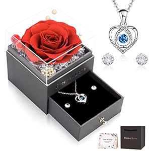 CSYY Eeuwige roos, cadeaus voor vrouwen, roos, slagend hart, halsketting, oorbellen, handgemaakte geconserveerde rozen, sieraden, geschenkdoos, cadeau voor zus, echtgenote op Moederdag