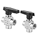 304 Stainless Steel 3-Way Ball Valve BSPP 1/4 Inch – High Pressure & High Temperature Water Pipe Valve for Plumbing, Irrigation, and Industrial Applications