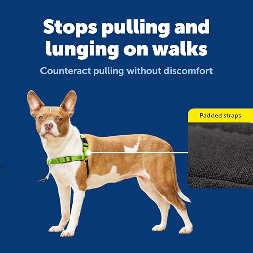 PetSafe Deluxe Easy Walk Hundegeschirr