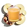 Half baked apple cider smash scented candle by snif festive fall candle 50 hours 100 cotton fiber wicks soy wax blend non toxic vegan 85oz  urban country home decor