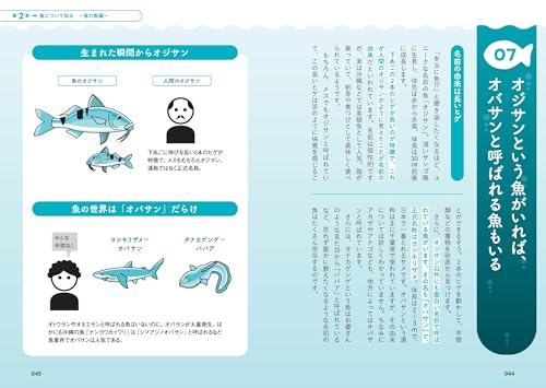 Amazon.co.jp: さかなのおにいさん かわちゃん: 本、バイオグラフィー