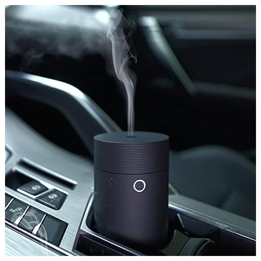 AoMck Car Diffuser Humidifier Aromatherapy Esstential Oil Diffuser USB Cool Mist Mini Portable for Car Home Office Bedroom (Thread Black)