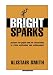 Produktbild Bright Sparks: Posters for Pupils and for Classrooms to Raise Motivation and Achievement (Accelerated Learning S.)